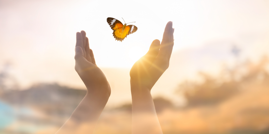 Reiki lernen