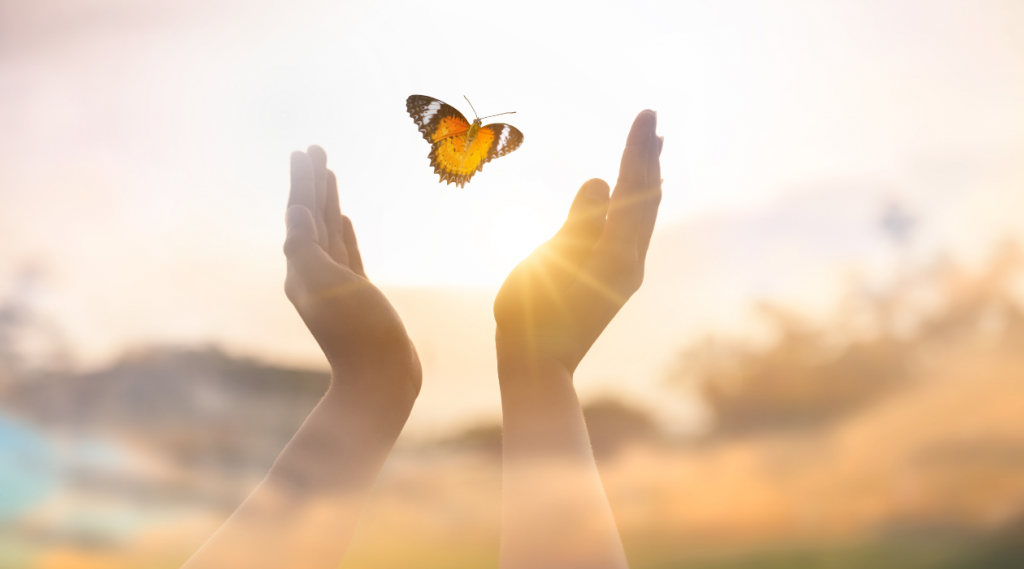 Mit Energiearbeit in Balance kommen